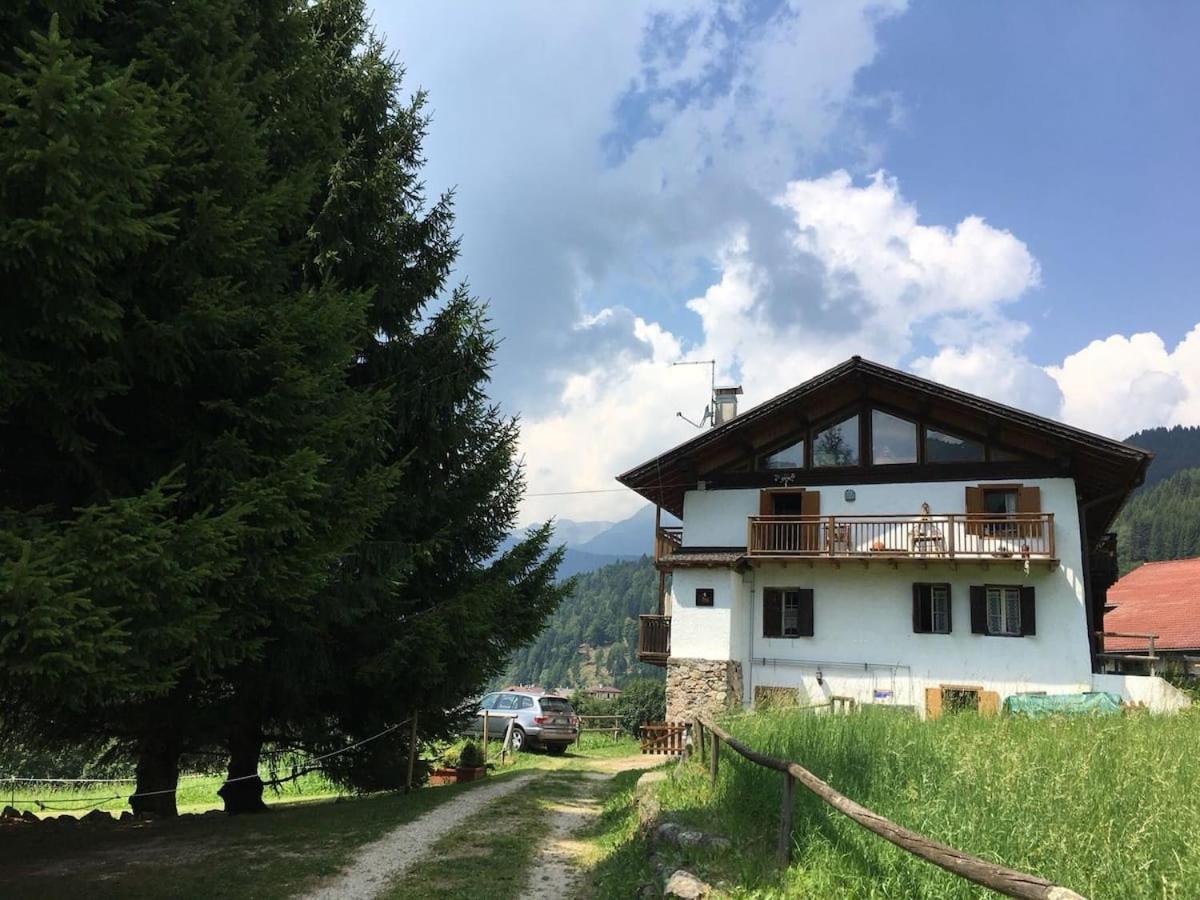 Casa Bernard Zortea Vanoi Cuore Verde Del Trentino Canal San Bovo Exterior foto